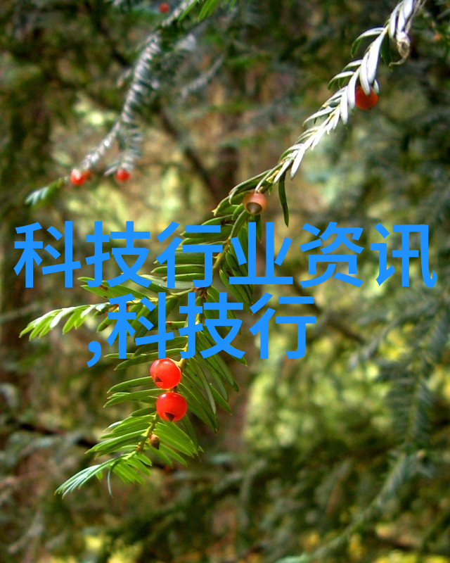 个人专利申请指南如何成功申报创新成果