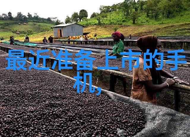 精准检测信赖筑基张珊珊机构的专业服务