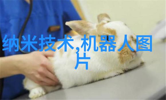 自动化输送设备我的工作之星