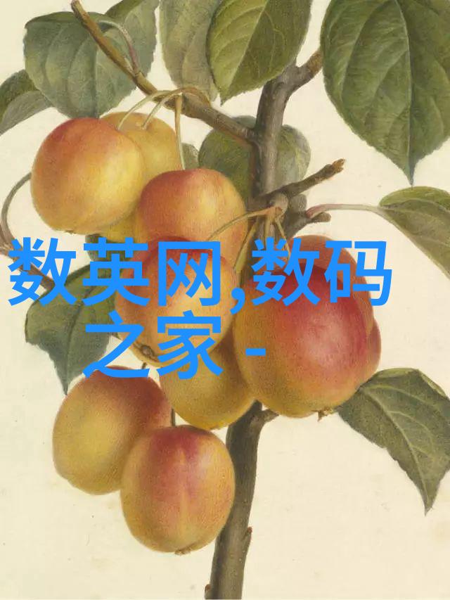 耐腐蚀的守护者不锈钢矩鞍环填料标准解析