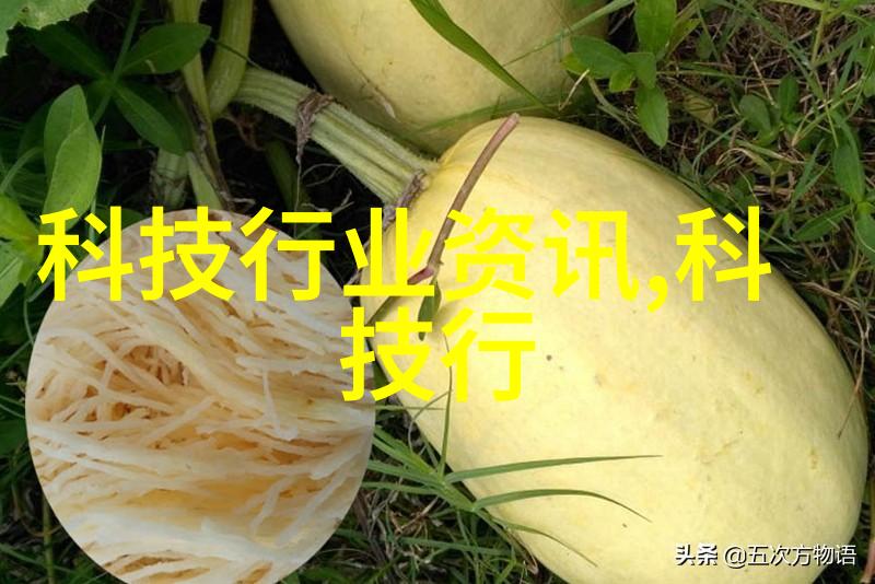 精准切制剖析食品加工中的分割艺术