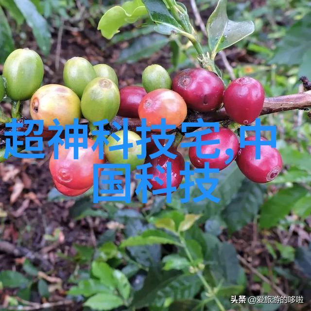 化工包装之谜探索检测设备的艺术与科技