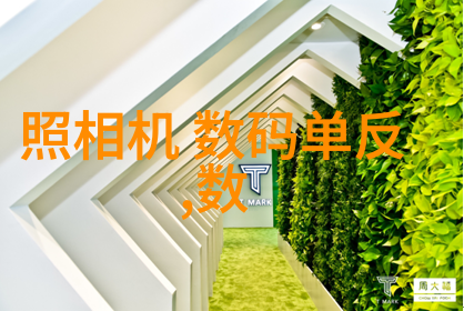 橘梨纱第六部ED2K探索新篇章的奇幻冒险
