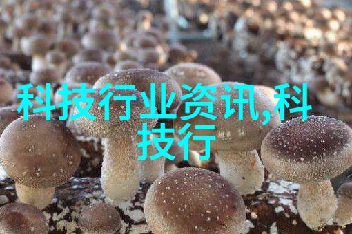 探索其在高等教育中的独特之处
