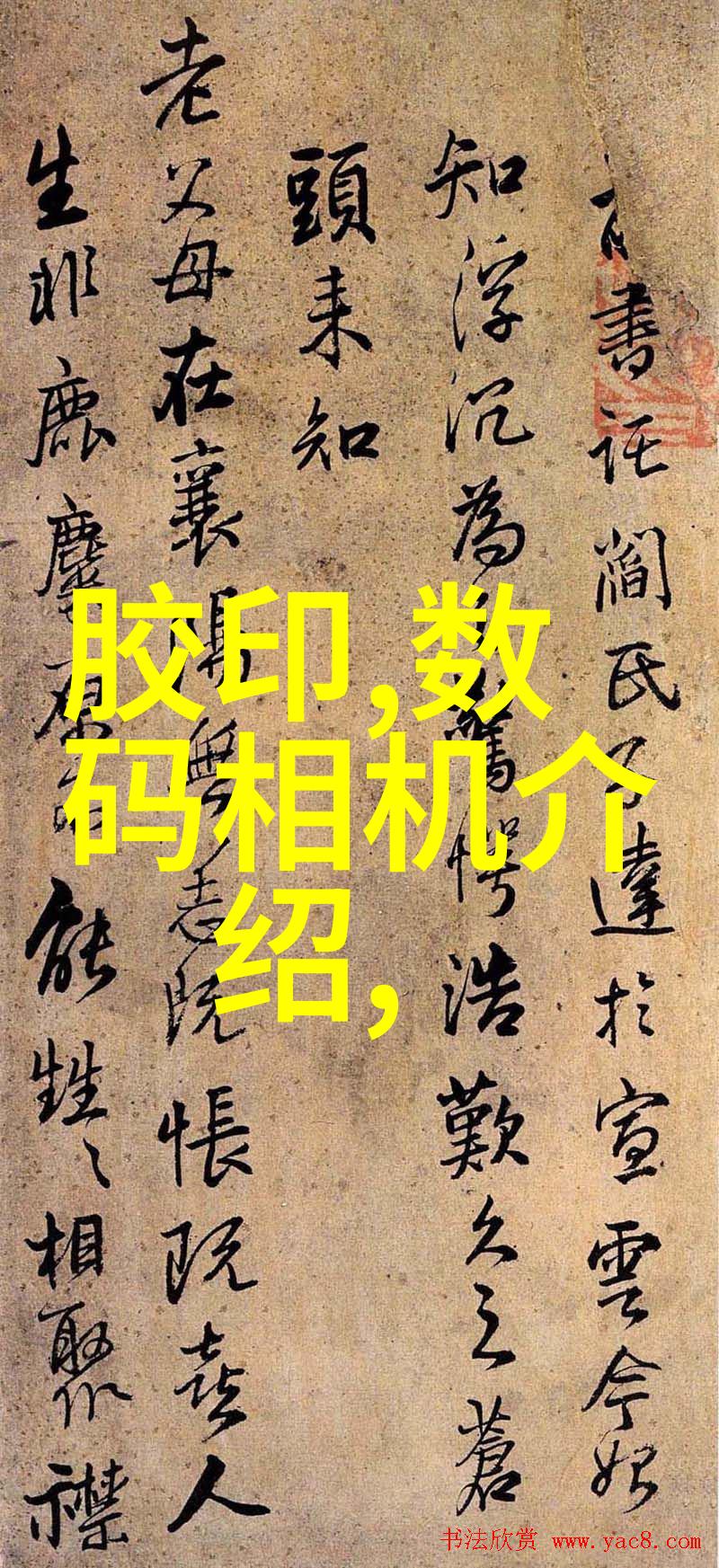 探秘未知R的谜底与无限可能