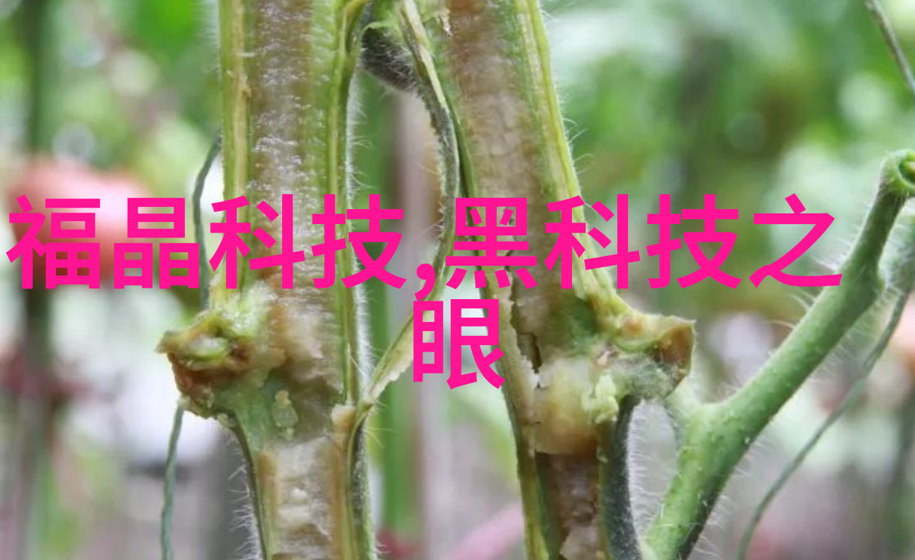 重庆实验室设备我在这座山城的实验室里遇见了什么