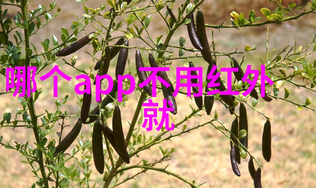 安装水电多少钱一平方的真相探究