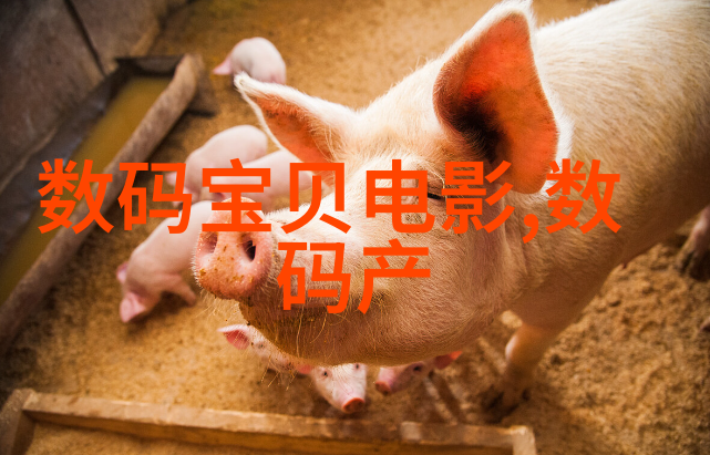 实验室离心机我是如何在微观探索中找到旋转的秘密的