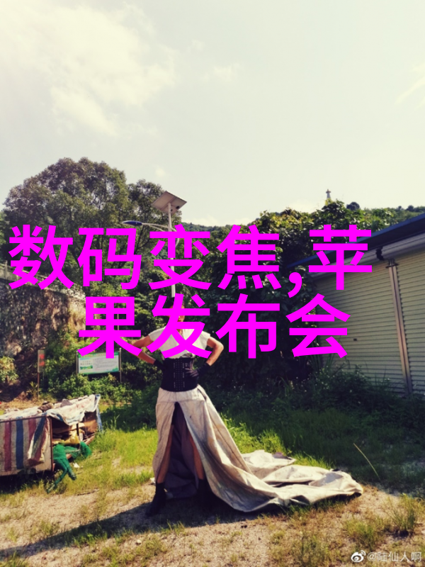 规整填料的环形应用探究