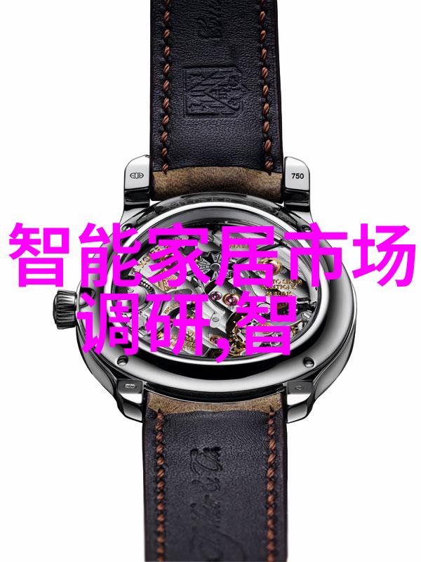 集成电路产业高薪现象人才竞争与行业发展的双刃剑