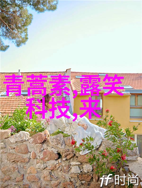 夏日舒适的选择中央空调家用系统的双刃剑