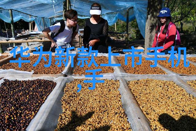 超pure water系统在日常运营中可能遇到的问题有哪些以及解决方法是什么