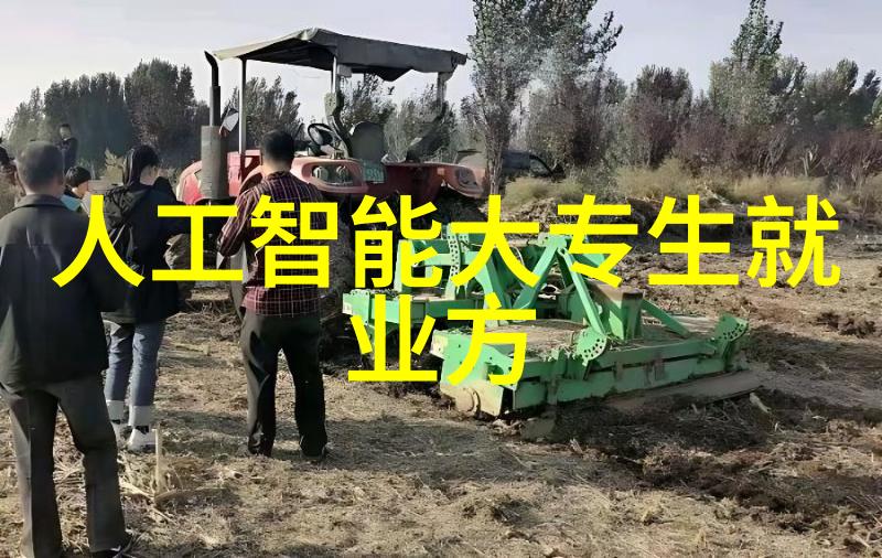 雷蒙机的秘密运行