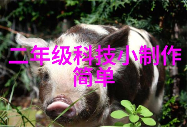 传统烘箱与微波真空干燥器比较哪种更节能环保