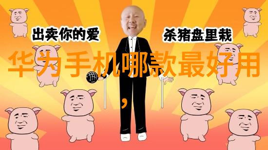 天机密语我与天机的秘密交谈