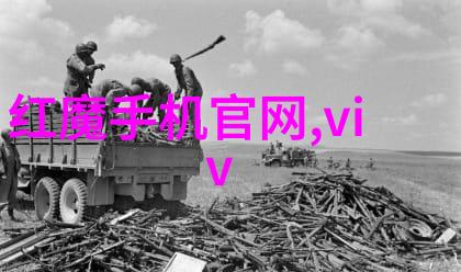 家用烤箱新宠如何选择和使用烤包器