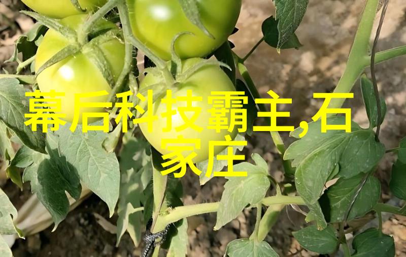 新型氯化钙干燥设备相比传统类型有什么优势