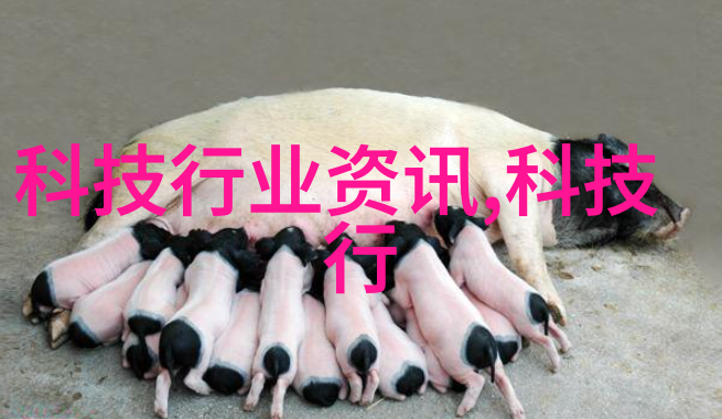 辣妹变身系统女孩们的魔法冒险