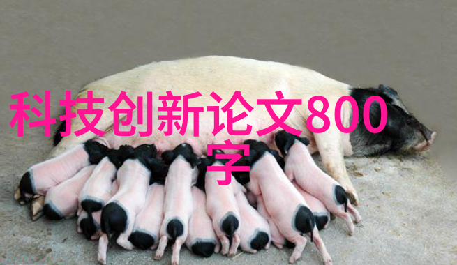 皮带输送机设备物流的灵魂飞驰者