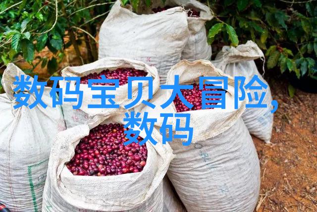 水净化系统的关键组件及其功能介绍
