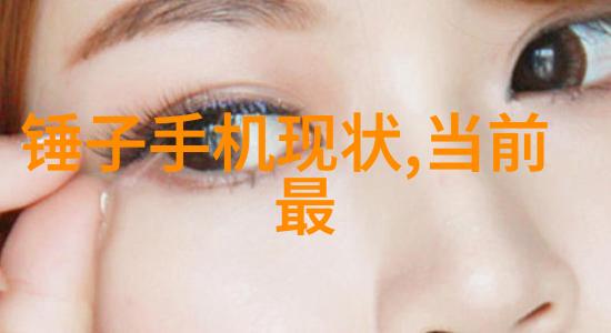 水质检测的智慧之眼揭秘那些高效仪器
