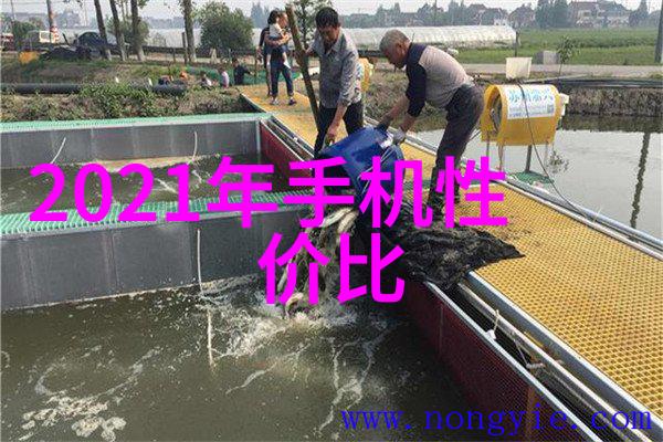 冷却技术的前沿探索制冷设备厂的创新之路