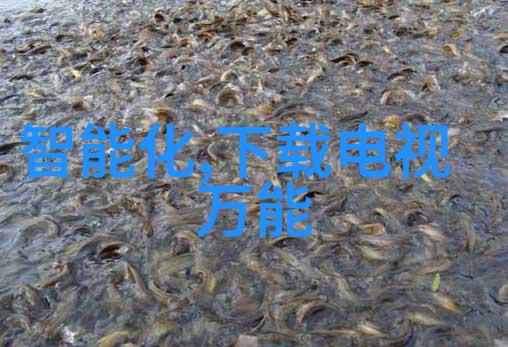 精准切制剖析食材分割艺术与技术的精髓