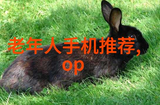 多功能流化床工作原理如何它就这么帮你做事