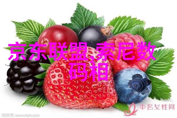 混凝土结构工程施工质量验收规范的重要性与实践应用