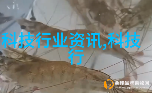 主题我是如何用一台小巧的压缩空气油水分离器解决了家里漏油问题的