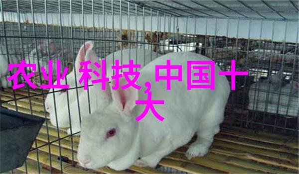 大型污水处理厂设备厂家我是专业的污水处理专家你的选择
