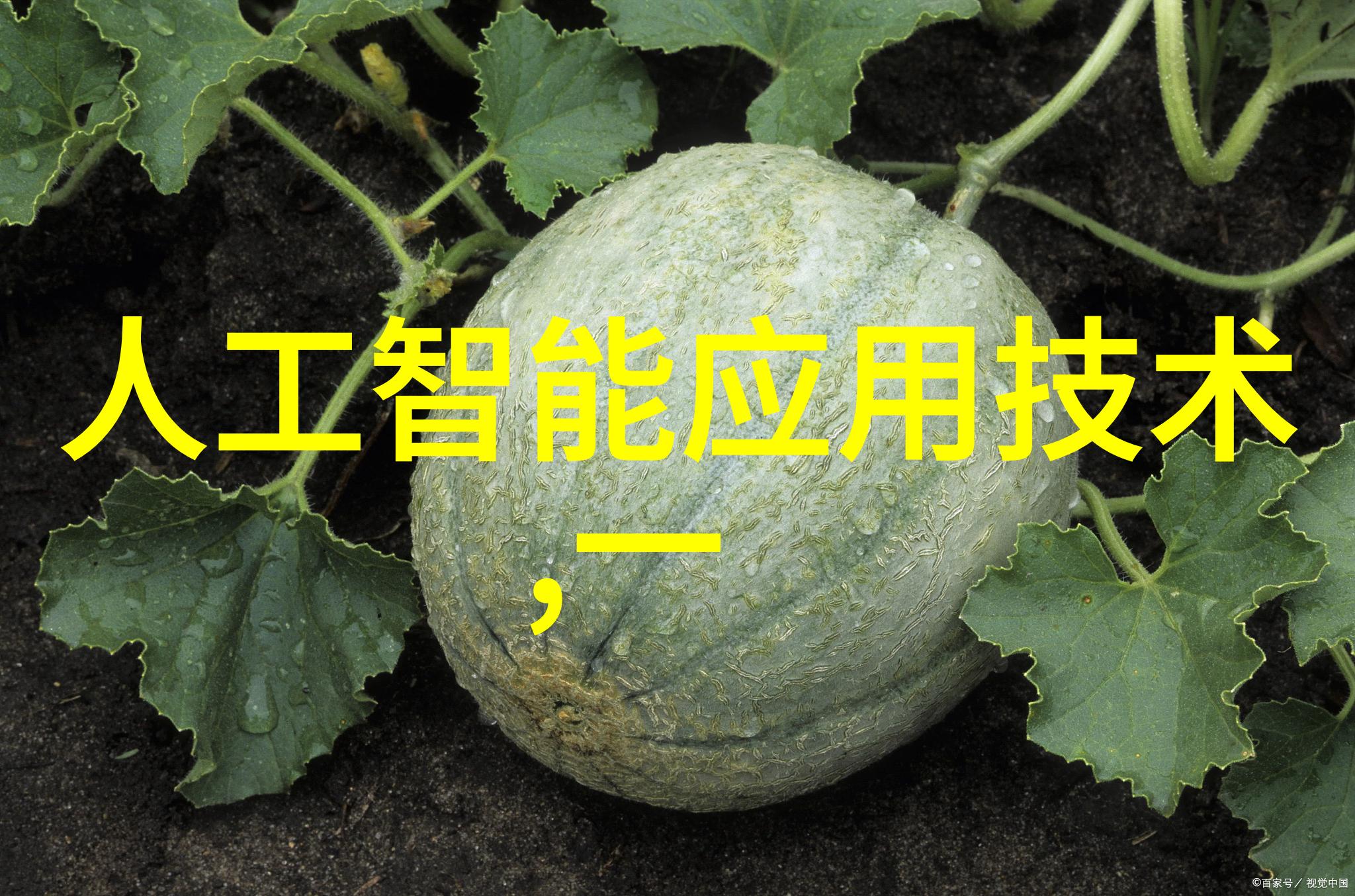 不夜坠玉穿越千年寻宝奇缘