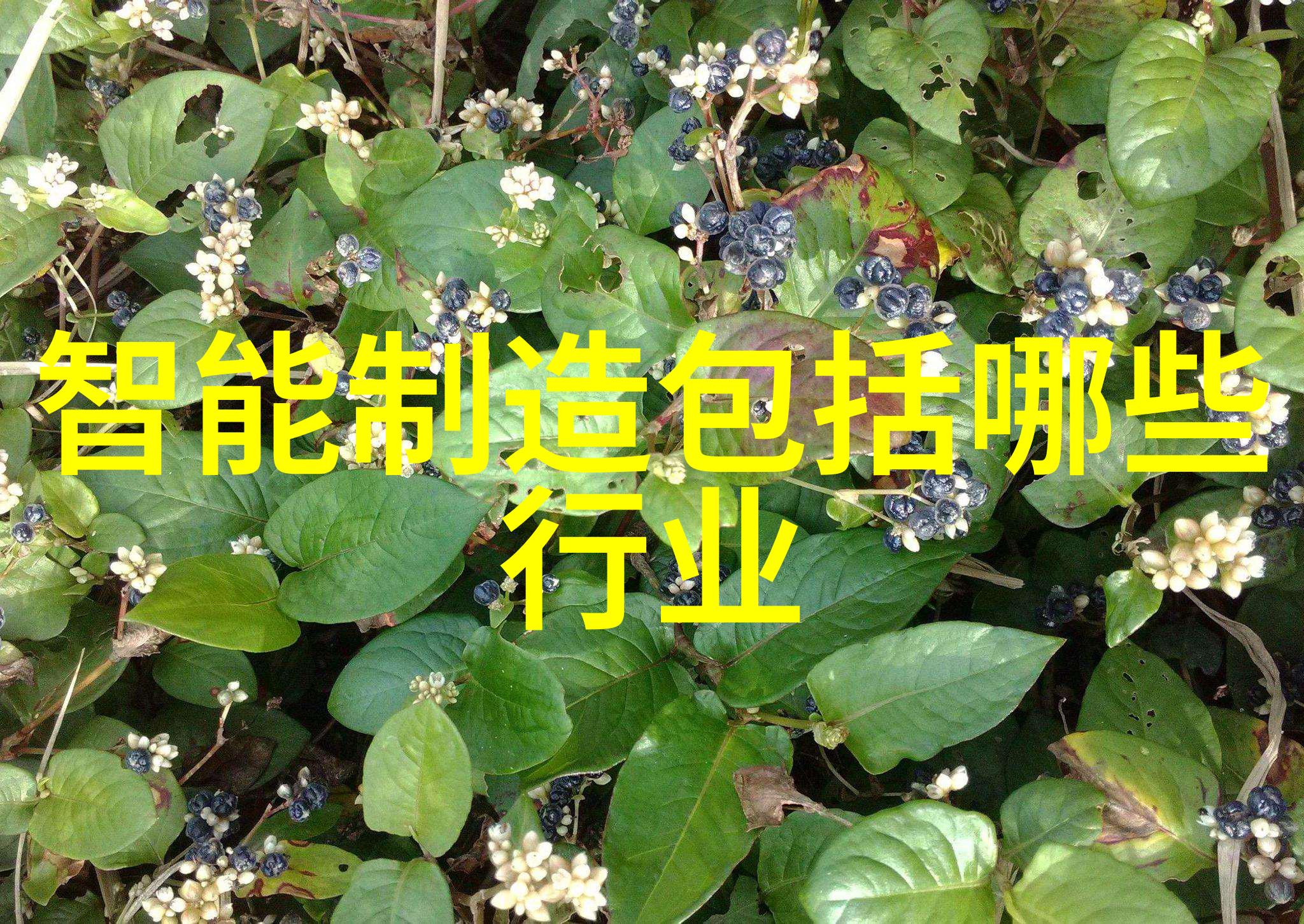 天津防水补漏-滴水不落探索天津市的高效防水与补漏技术