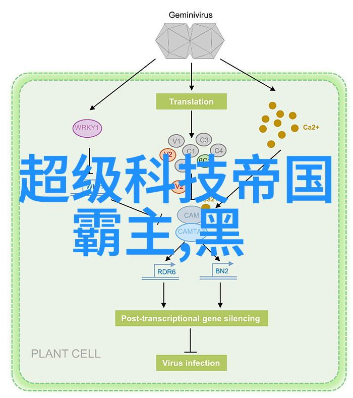 地下管网中的清洁之心地埋式废水处理设备的秘密力量