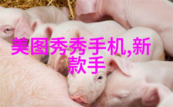 满了...太满了溢出来玩具视频-宝箱爆裂玩具过剩的欢乐灾难