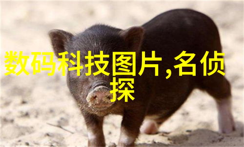 变频供水设备-高效节能的智慧源泉变频供水设备在现代城市水务中的应用与展望