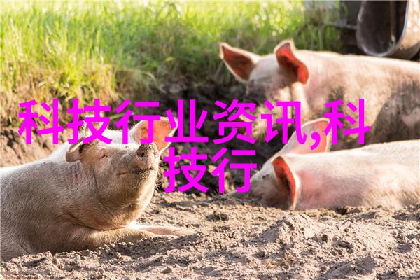 该设备是否支持多种不同的操作系统和应用程序运行