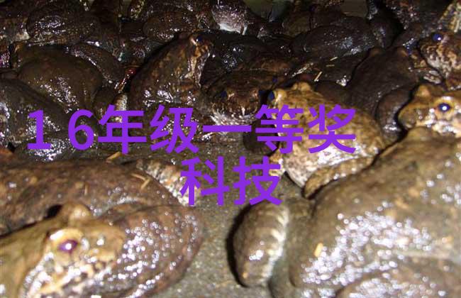 无锡不锈钢板生产厂家剥离表面展现锋芒