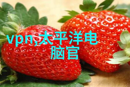 ldb70脉冲袋式除尘器高效清洁工的忠实伙伴