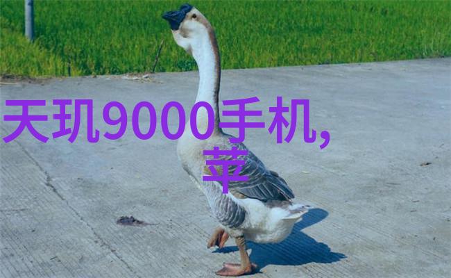 如何确保化工管件的耐腐蚀性