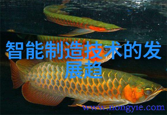 暖气换热器技术与应用研究创新方案与未来展望