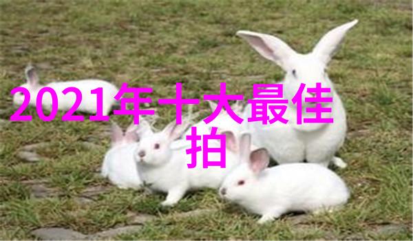 不锈钢加热搅拌反应釜-高效混合与精确调温的化学实验新伙伴