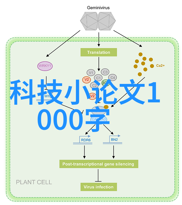 物流设备的智能化与可持续发展策略研究