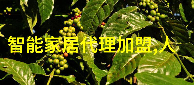利扬芯片我是如何遇见利扬芯片的