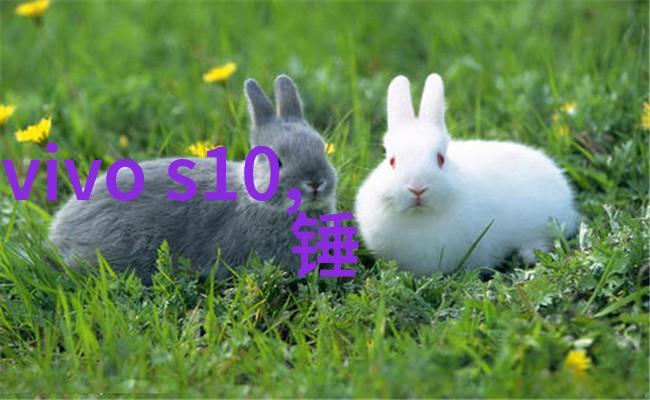 河道清淤的生态学与经济效益研究探索水文环境改善对生物多样性恢复与地方发展的影响