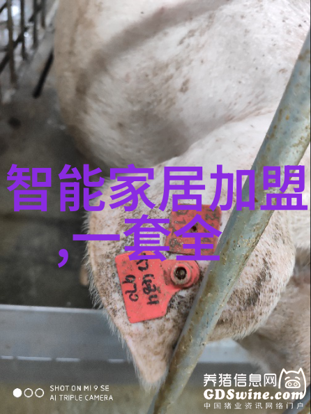 地埋式一体化污水处理设备我是如何在家里搞定的黑土革命