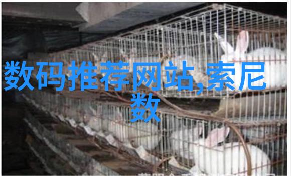 褐煤干燥技术进展新时代的能源解决方案