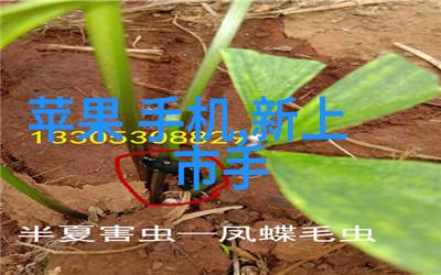 蒸汽发生器的秘密揭开高压蒸汽技术与安全操作之谜