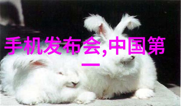 421时空之匙的守护者