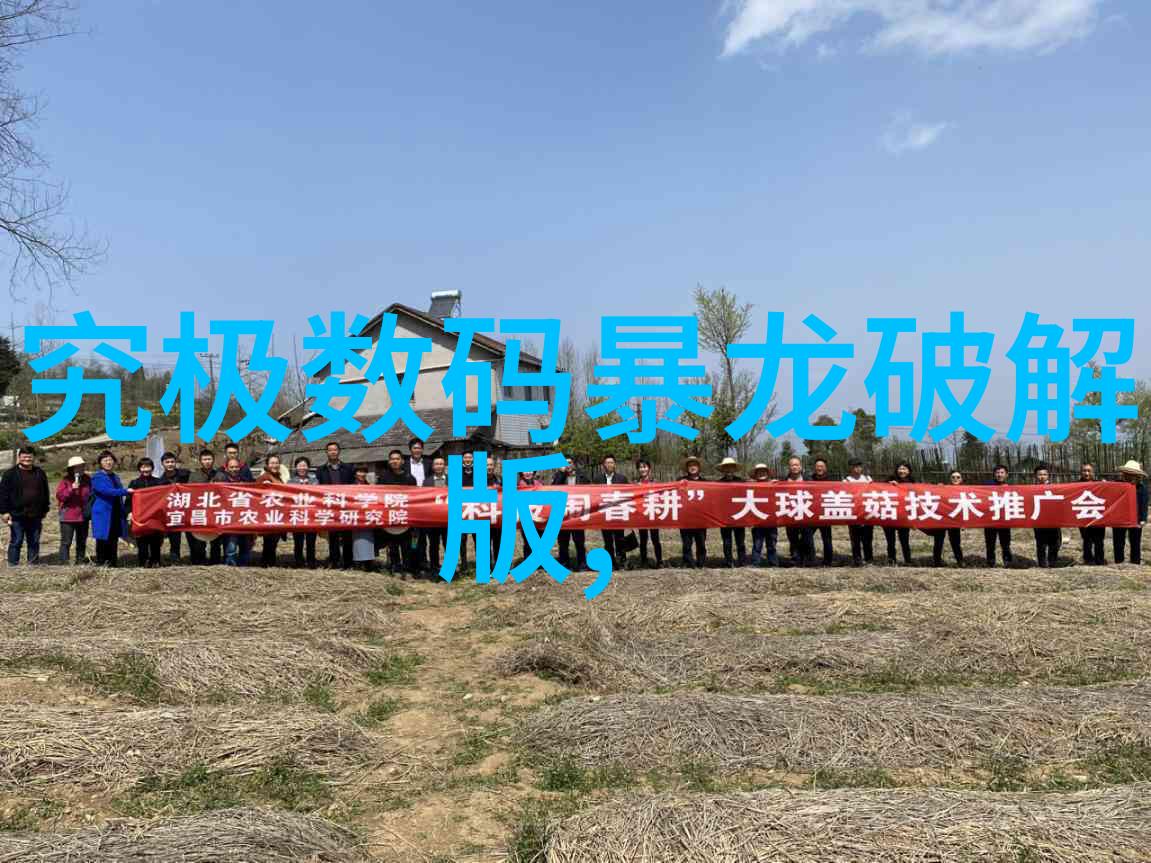 在编制一般报告时应当如何处理数据分析部分